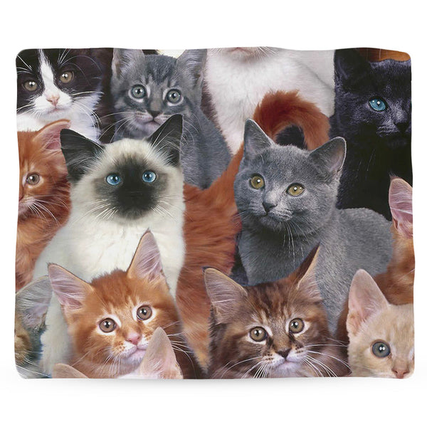 Cats for Days Blanket