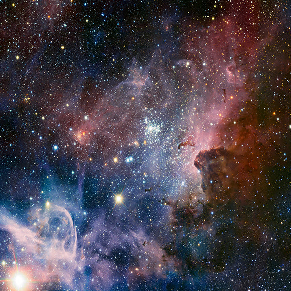 Carina Nebula Pet Bed