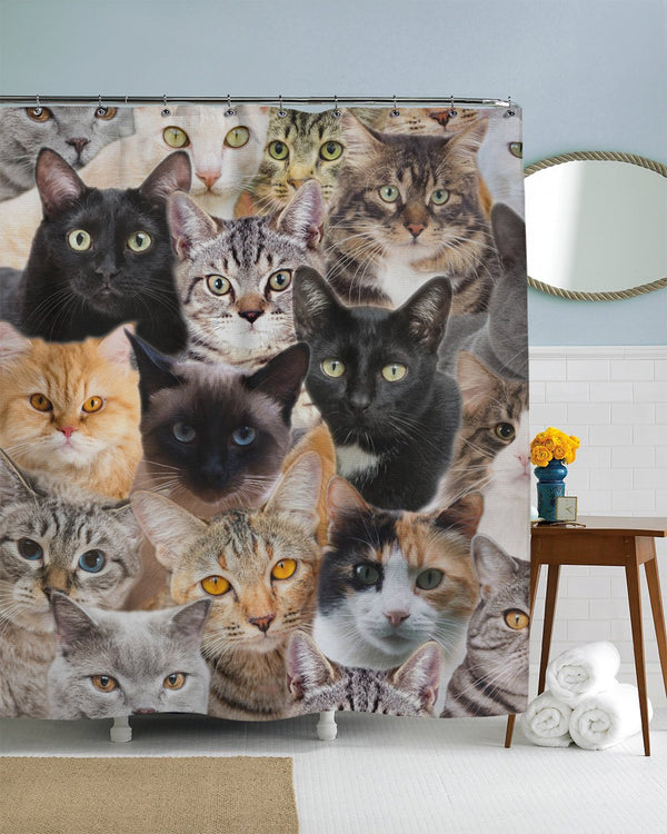 Cats For Days Shower Curtain