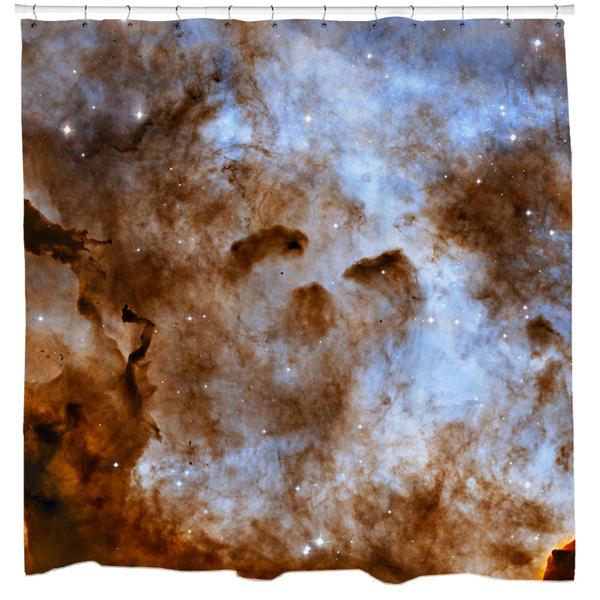 Cosmic Ice Sculptures in the Carina Nebula Shower Curtain