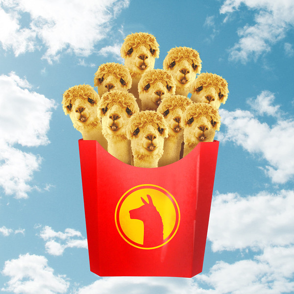 Llama Fries Shower Curtain