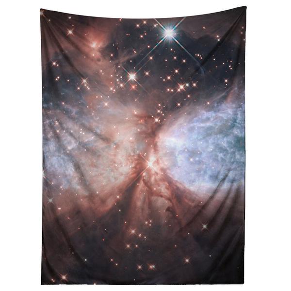 Star Forming Region S106 Tapestry
