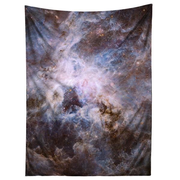 Optical View of Tarantula Nebula Tapestry