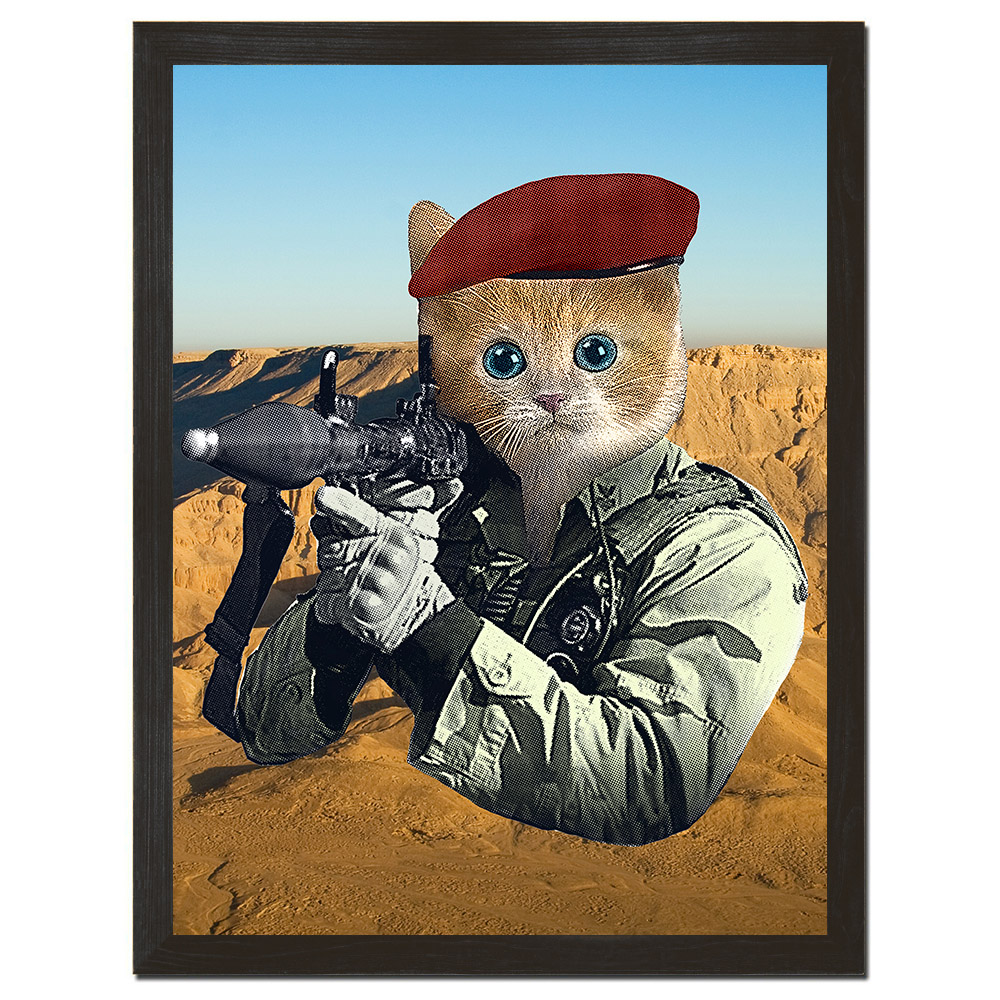 gi kitty.jpg