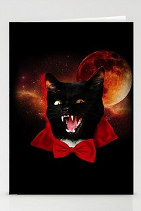 Catula (3 Pack) Stationary Cards  