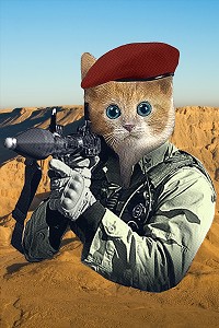 GI Kitty Stretched Canvas