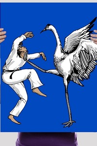 Karate Crane Poster