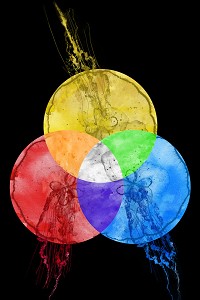 Venn Jelly Stretched Canvas