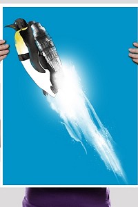 Wingless Migration Poster