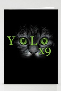 YOLO x 9 (3 Pack) Stationary Cards 