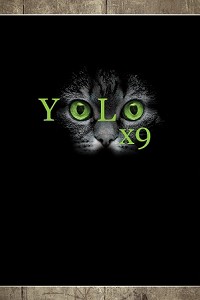 Yolo x 9 Poster 